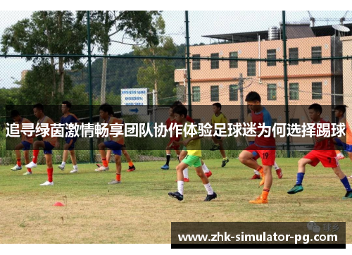 追寻绿茵激情畅享团队协作体验足球迷为何选择踢球