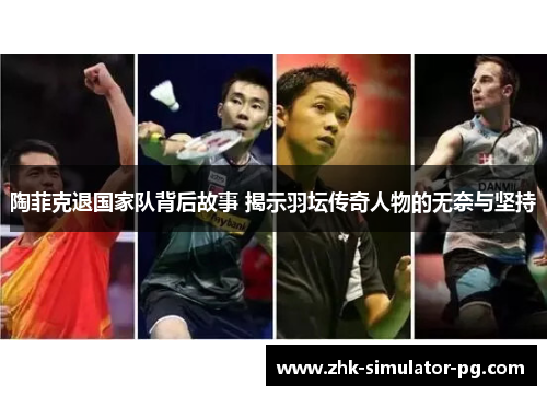 陶菲克退国家队背后故事 揭示羽坛传奇人物的无奈与坚持